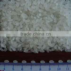 Japonica Short Grain Rice thumbnail-1