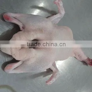 Frozen Whole Duck thumbnail-1