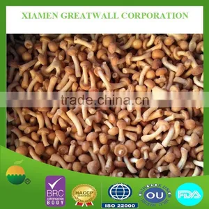 Frozen Nameko Mushroom From China Food Supplier thumbnail-3