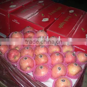 Fuji Apple thumbnail-1