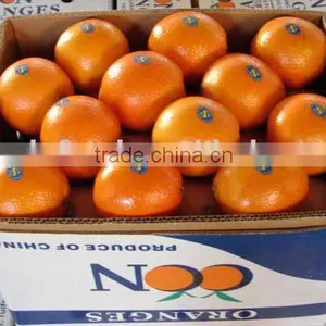High Quality Navel Orange thumbnail-1