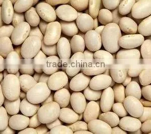 Blanched Peanuts thumbnail-3