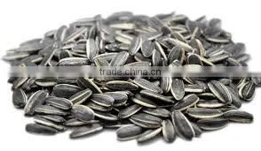 Bulk Organic Sunflower Seeds Confectionery Sunflower Seeds Home Use Sunflower Seeds thumbnail-5