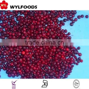 IQF China Price for Frozen Linggonberry Hot Sales thumbnail-5