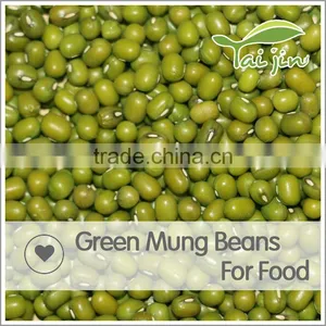 Organic Chinese MungBeans,Mung Bean Prices,Fresh Green Beans Competitive Price thumbnail-4