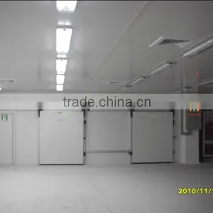 Cold Room Equipment for Freezing Chickens in Slaughterhouse thumbnail-1