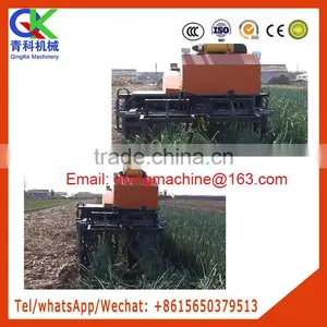 Diesel 2 Row Welsh Onion Harvester Apply for Flat Area thumbnail-4