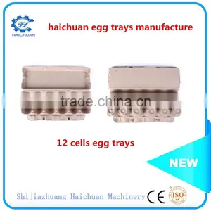 Paper Mold Pulp Egg Tray Packaging thumbnail-5