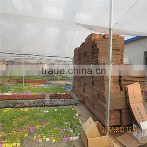 Factory Prices Non-wetting Mushroom Growing Greenhouse thumbnail-4