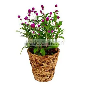 Indoor Decorative Flower Planter Water Hyacinth Woven Small Plant Pot thumbnail-2