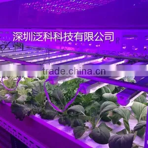 Best Solutions 20W Indoor Hydroponic Growing Lights thumbnail-5