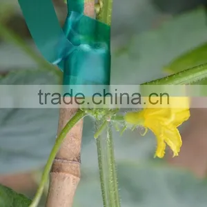 Colorful PVC Plastic Garden Tape thumbnail-4