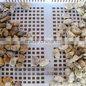 500g Seafood Mix thumbnail-3