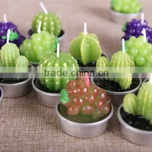 Cactus and Grape Plant Birthday Scented Candle thumbnail-6