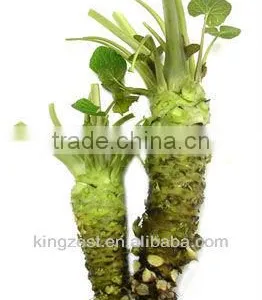 Wasabi Paste With Real Wasabi Wasabi Japonica thumbnail-1