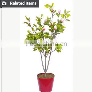 Artificial Evergreen Ornamental Plants Plastic Tree for Home Decorative Use thumbnail-4