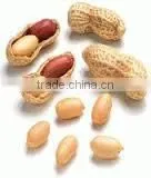 Arachis Oil thumbnail-2