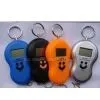 Digital Luggage Scale thumbnail-1