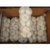 New Crop Fresh Garlic in Carton or Mesh Bags thumbnail-2