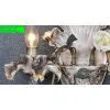 European Style Wall Lamp,european Style Shade Lamp With Good Quality thumbnail-3