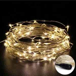 DC12V LED Fairy String Light Copper Wire 10M 33ft 100leds Christmas Light Holiday Wedding Party Decoration String Light thumbnail-1