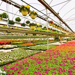 Glass Greenhouse With Venlo Structure for Agriculture/Horticulture thumbnail-2