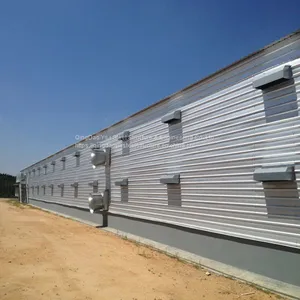 Steel Structure Design Poultry Farm Shed / Poultry Farm Structures thumbnail-2