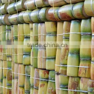 Fresh Sweet Sugarcane From Vietnam/ Sweet Cane Sugar thumbnail-3