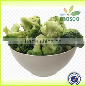 Cleaning Fresh Green Broccoli, Frozen Broccoli in Bulk thumbnail-1