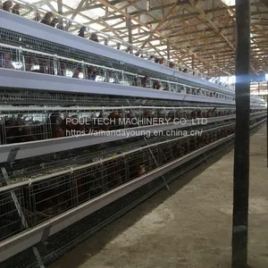 Battery Chicken Cage for Layer Poultry Farming thumbnail-2