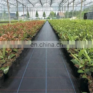 Factory Direct Selling 90gsm Black PP Anti Grass Mat Cloth Woven Ground Cover for Agricultural Protection thumbnail-5