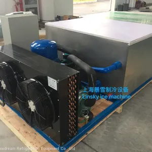 1000kg/24hr Brine System Block Ice Machine thumbnail-2