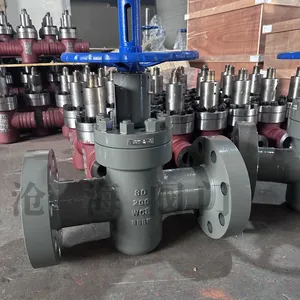 High Pressure Flange Flat Gate Valve Z43Y Cang Hai Valve thumbnail-1