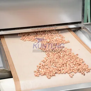 Professional Microwave Dryer Machine Nuts and Bean Ripening Sterilization Dryer EPC thumbnail-5