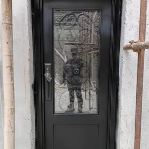 Front Double Wrought Iron Door French Doors Steel Glass Door China thumbnail-2