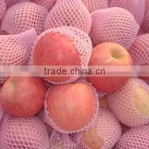 Fuji Apple Packed in Carton thumbnail-1