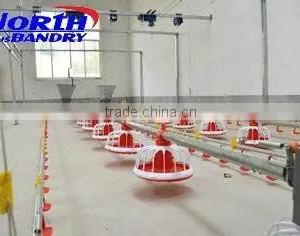 NORT HHUSBANDRY Auto Feeding System in Chicken House thumbnail-2