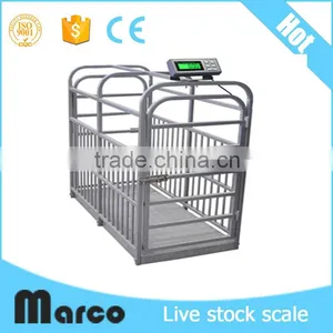 Large -scale Automatic Poultry Farm Design Digital Cattle Animal Scale thumbnail-6