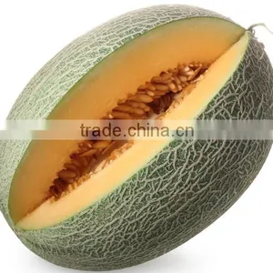 Fresh Melon Sweet Melon Price thumbnail-3