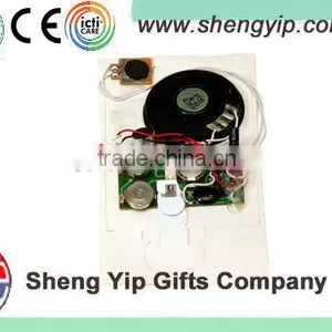 Cheap Sound Card Recorder Module thumbnail-1