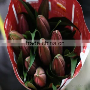 Fresh Cut Flowers Lily Flower thumbnail-6