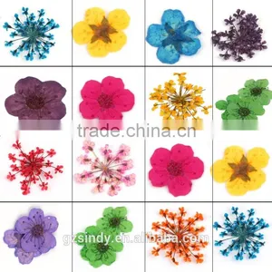 Stickers & Decals 3D Dry Flower, Mix 12 Color Decoration Real Dried Dry Flower for Nail Art Decoration ZX:GH743 Quality Choice thumbnail-1