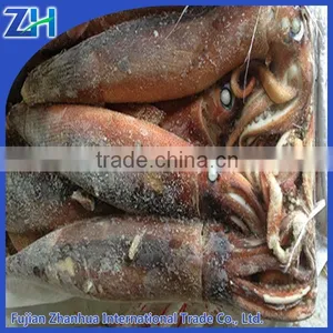 New Arrival Frozen W/R Illex Argentinus Frozen Squid for Sale thumbnail-1