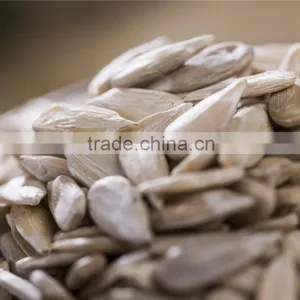 Hulled Sunflower Kernels Confectionary Grade and Bakery Grade thumbnail-5