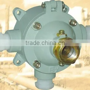 Increased Safety Explosion-proof Pendant Lamp Boxes thumbnail-1
