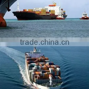 Door to Door Shipping Service Freight Forwarder International Shipping Rate From China to USA- Website:shitou_0308 thumbnail-1