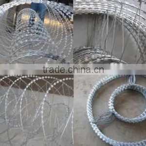 Safety Fake Razor Barbed Wire thumbnail-3