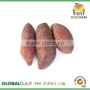 2015 Sunny Orchard Fresh Sweet Potato thumbnail-1