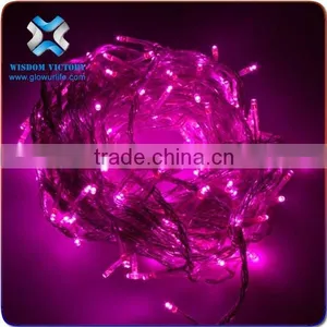 2016 CE Rohs Chrismas Light LED Hanging F5 Battery Operated String Lights,battery Operated Led Fairy Lights thumbnail-5