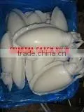 Coastal Catch Exim company overview - view 3 thumbnail